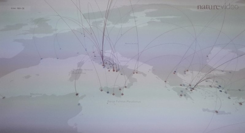 Copyright Giulia Speranza